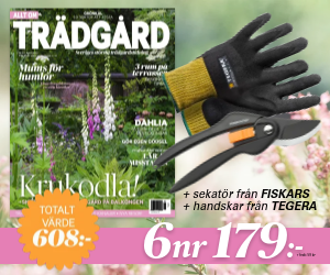 allt-om-tradgard-handskar-sekator