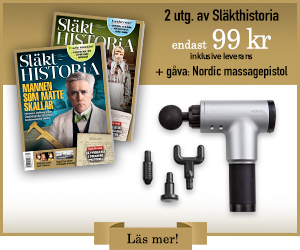 slakthistoria-nordic-massagepistol